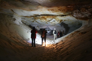 Fontainebleau